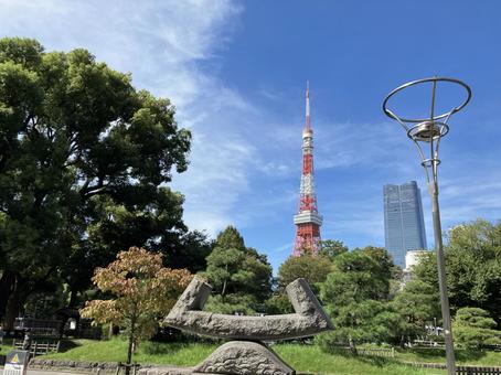 爽やかな青空と東京のシンボル 爽やかな青空と東京のシンボル 東京タワー,都市風景,公園の写真素材