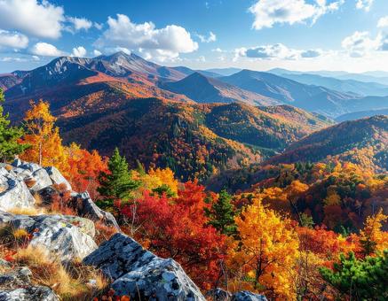 紅葉が美しい日本の山々 紅葉が美しい日本の山々の写真
