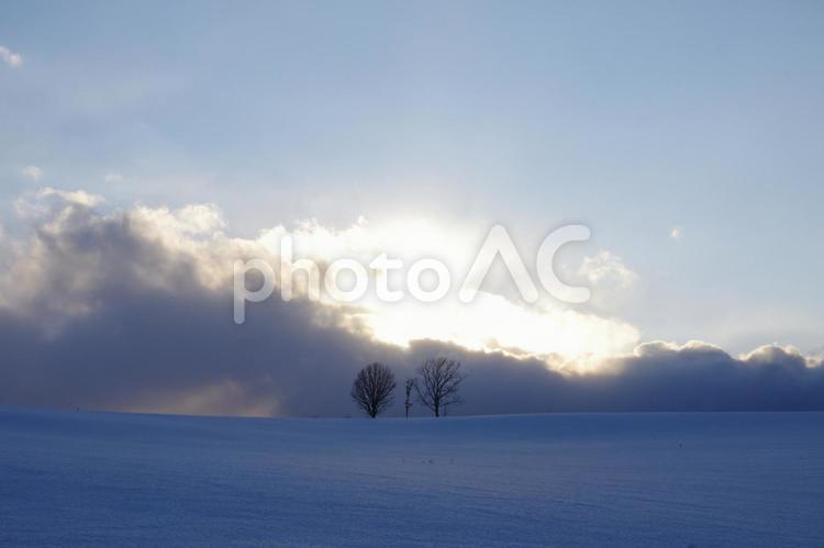 美瑛町、夕暮れの雪原 自然,景色,風景の写真素材