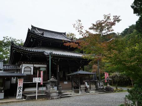 京都 今熊野観音寺 京都 今熊野観音寺の写真
