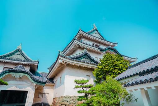 【和歌山】和歌山城 2025 【和歌山】和歌山城 2025の写真