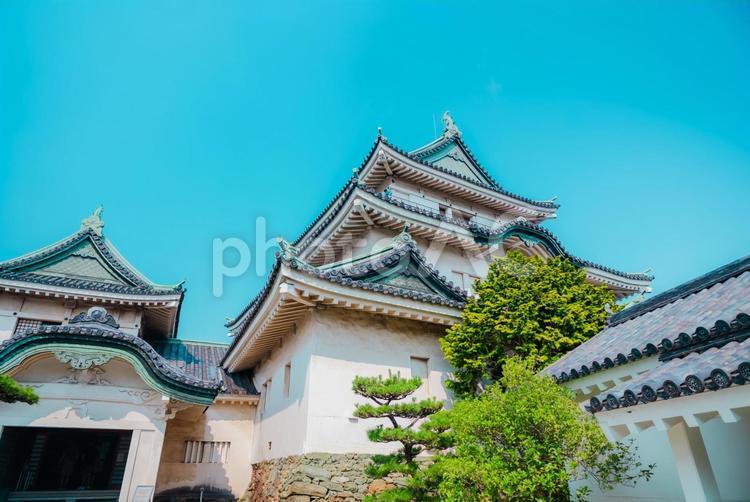 【和歌山】和歌山城 2025 和歌山城,城,和歌山の写真素材