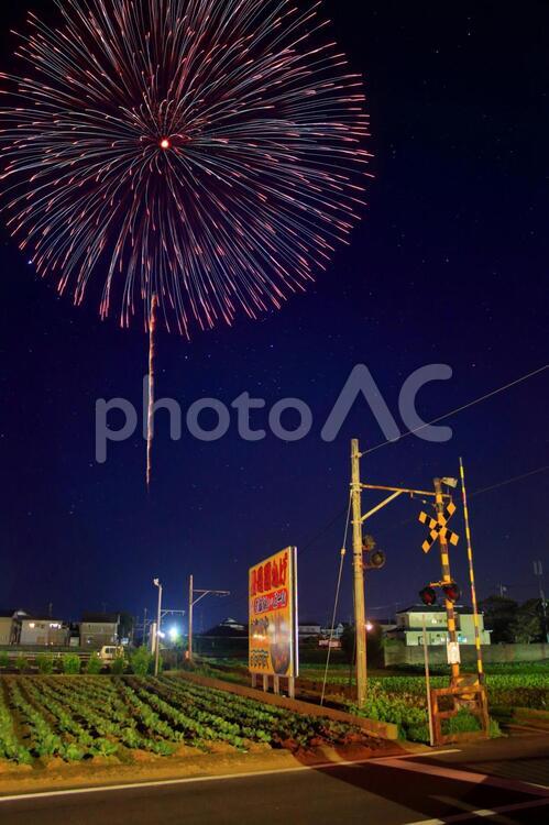 打ち上げ花火　夏の風物詩　#14 花火,打ち上げ花火,夏の写真素材