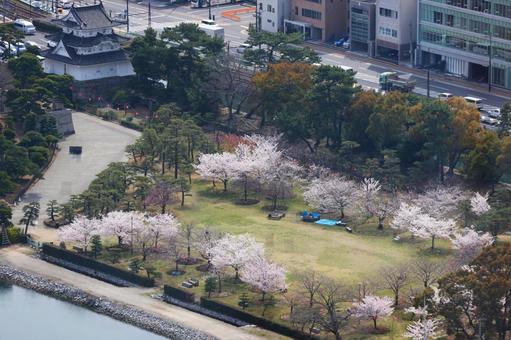 3月下旬の高松市玉藻公園の艮櫓と桜の花 3月下旬の高松市玉藻公園の艮櫓と桜の花の写真
