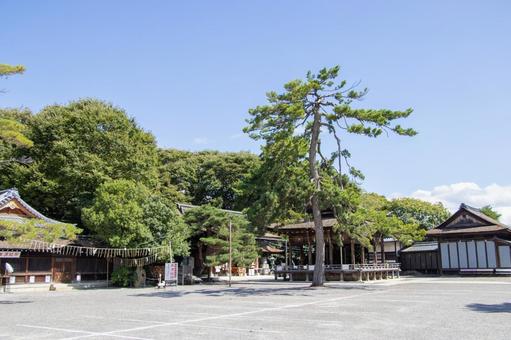 長浜八幡宮 長浜八幡宮 長浜八幡宮,長濱八幡宮,神社の写真素材
