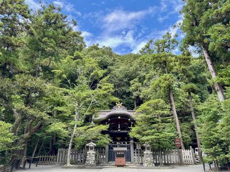 白旗神社 鶴岡八幡宮 白旗神社 鶴岡八幡宮 鎌倉,鶴岡八幡宮,白旗神社の写真素材