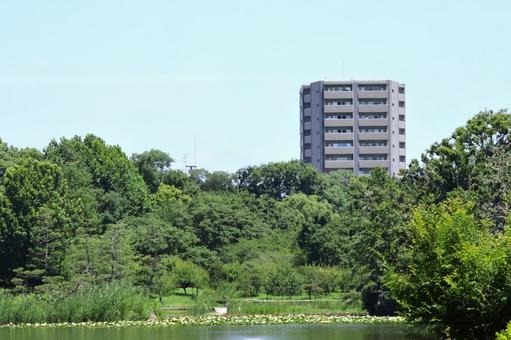 都会のオアシスイメージ(長居植物園と建物 都会のオアシスイメージ(長居植物園と建物 都会のオアシス,イメージ,植物園の写真素材