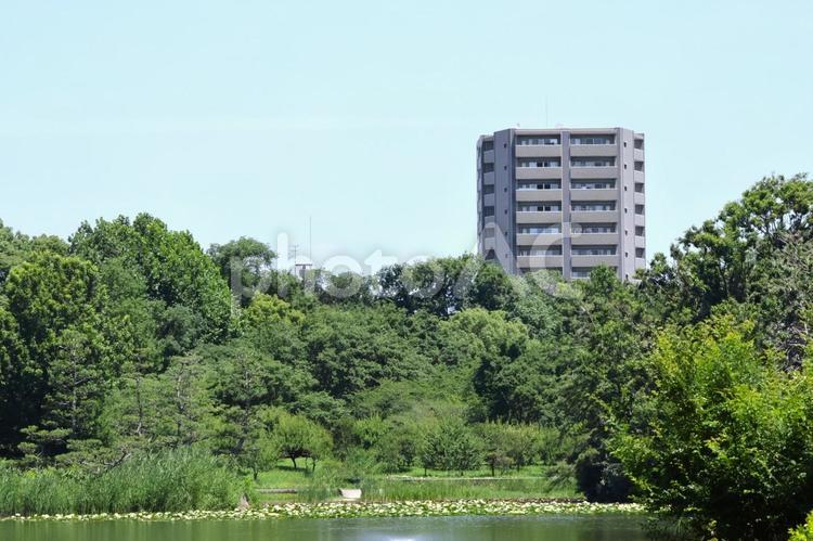 都会のオアシスイメージ（長居植物園と建物 都会のオアシス,イメージ,植物園の写真素材