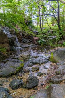 庭園の風景 庭園の風景の写真