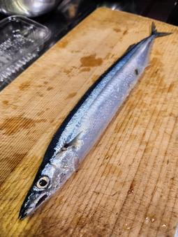 初物秋刀魚2(生) 初物秋刀魚2(生)の写真
