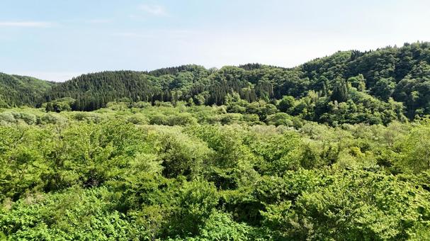 山と森と藪他 山と森と藪他 自然,景色,風景の写真素材