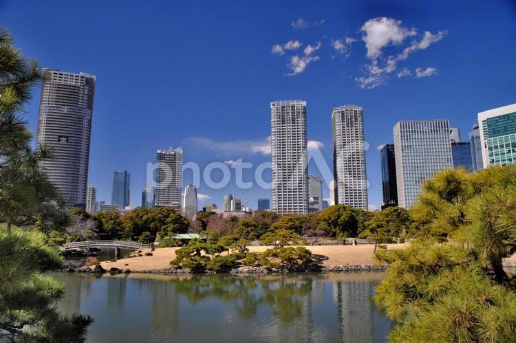 浜離宮から見た青空と高層ビル群① 浜離宮恩賜庭園,浜離宮,観光地の写真素材