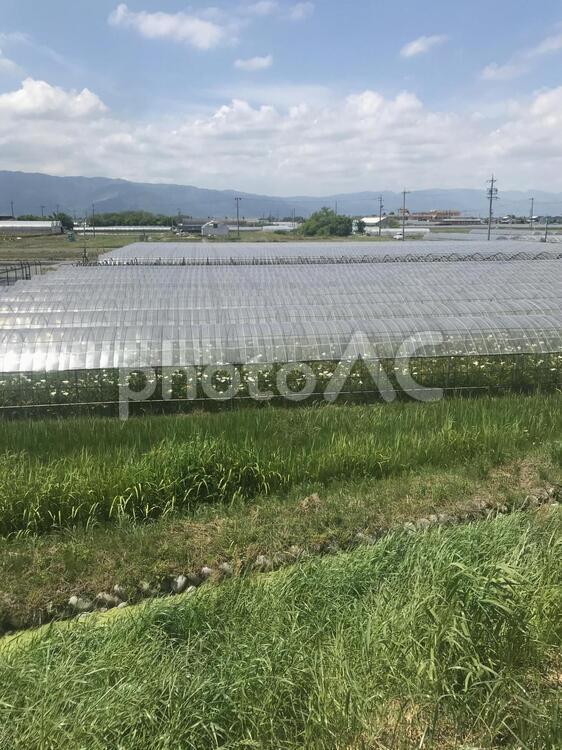 田舎の風景 田舎,ビニールハウス,山の写真素材