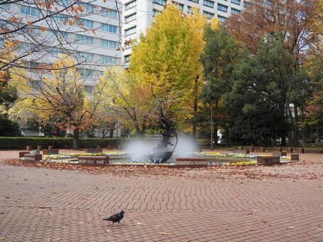 日比谷公園　かもめの広場 かもめの広場,日比谷公園,秋の写真素材