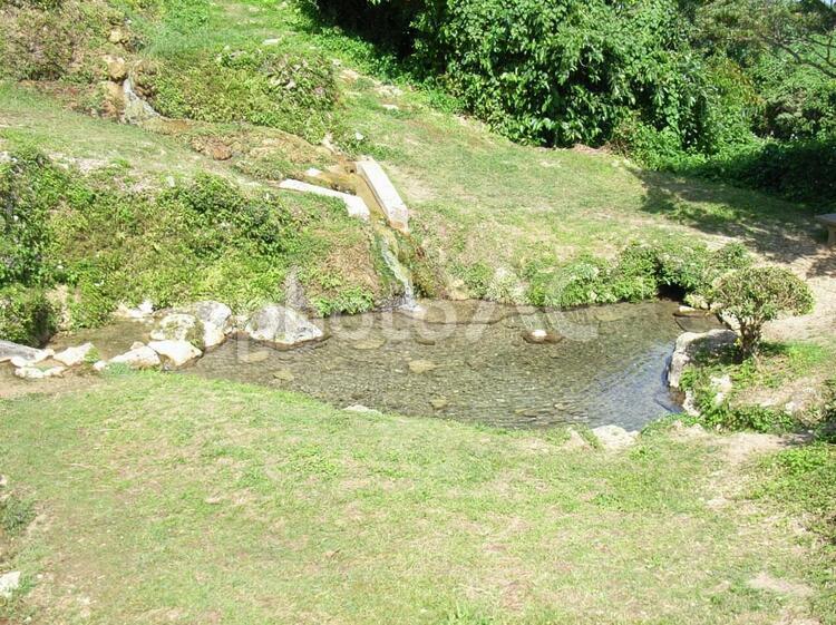 垣花樋川馬浴川 垣花樋川の写真素材