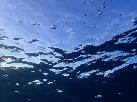 海中から眺める水面 海中から眺める水面 海,スキューバダイビング,沖縄の写真素材