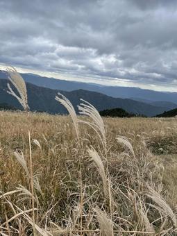 ススキの高原 秋,空,ススキの写真素材