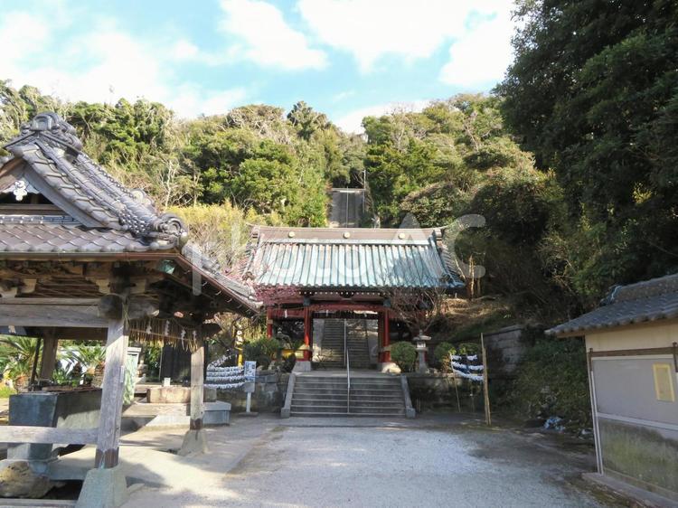 館山市洲崎神社の随神門 随神門,洲崎神社,神社の写真素材