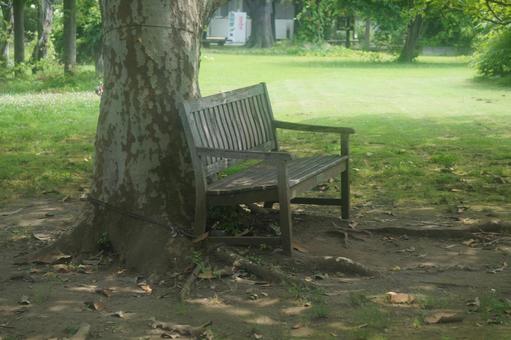 bench, JPG bench, JPG