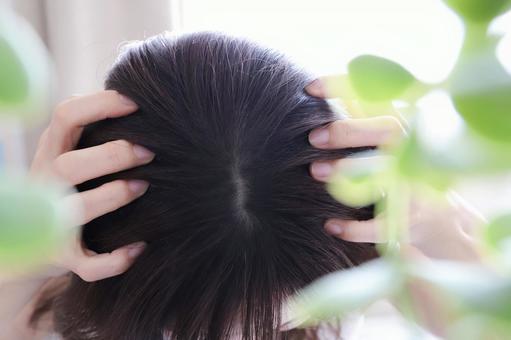 女性の頭皮、地肌 女性の頭皮、地肌 頭皮,地肌,女性の写真素材