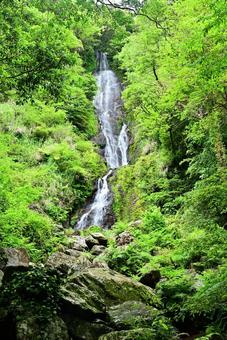 奄美大島風景~フナンギョの滝~ 奄美大島風景~フナンギョの滝~の写真