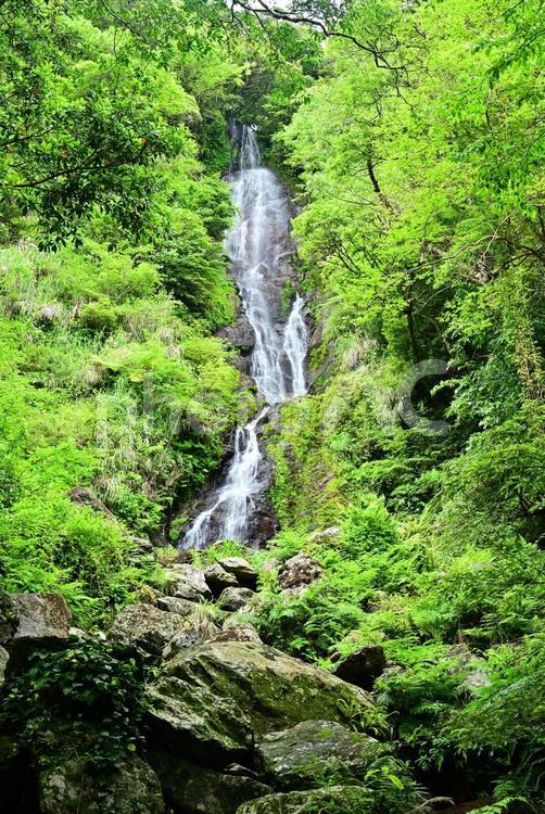 奄美大島風景～フナンギョの滝～ 奄美大島,フナンギョの滝,風景の写真素材