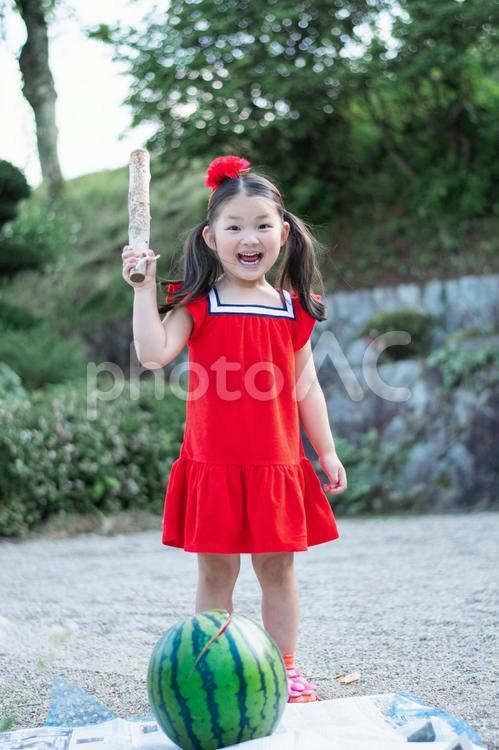 スイカ割りを楽しむ子供 スイカ割り,スイカ,子供の写真素材