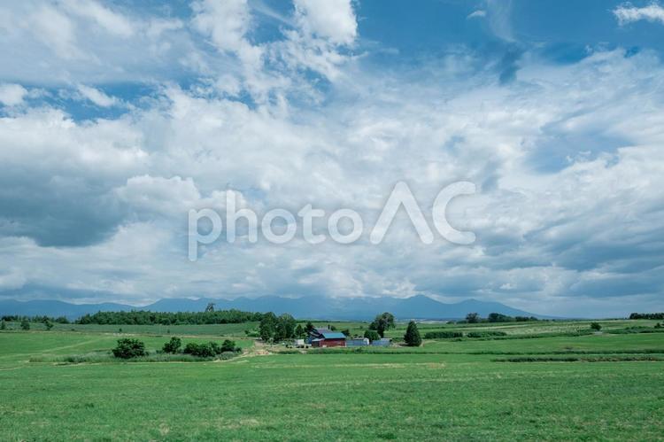 ［北海道富良野市］富良野の風景｜ドライブ 富良野,北海道,ドライブの写真素材