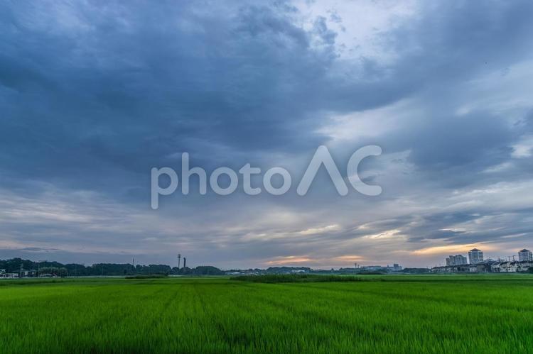 梅雨の曇り空の朝 早朝,朝焼け,梅雨の写真素材