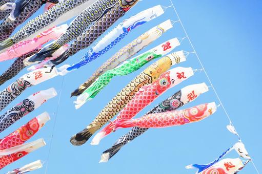 Carp streamers, JPG Carp streamers, JPG