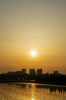オレンジ色に包まれたさいたま新都心 オレンジ色に包まれたさいたま新都心 夕焼け,ゴールデンアワー,マジックアワーの写真素材