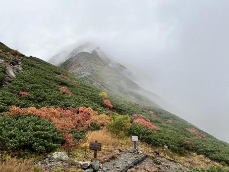 紅葉の南アルプス 紅葉の南アルプス 紅葉,南アルプス,山の写真素材