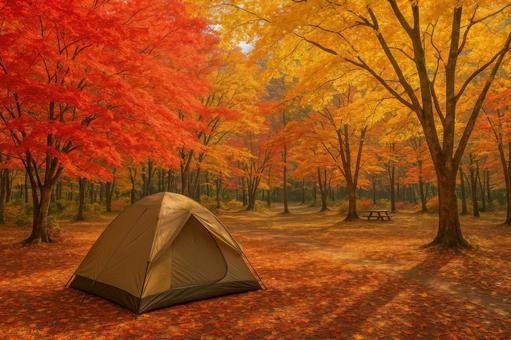 秋の紅葉に包まれたキャンプ場 秋の紅葉に包まれたキャンプ場の写真