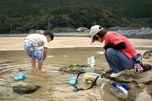素材>砂浜でガサガサ(小魚捕獲)する親子 素材>砂浜でガサガサ(小魚捕獲)する親子 女性,子供,家族の写真素材