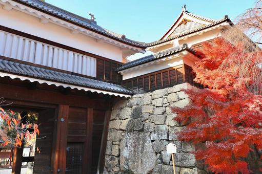 紅葉　長野県　上田城 紅葉,長野県,上田城の写真素材
