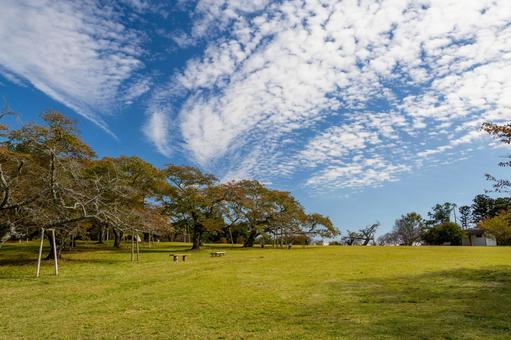 秋の公園⑴の写真
