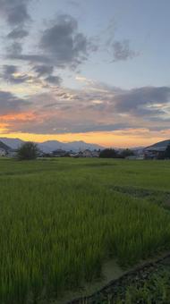 夏の夕暮れ 夏の夕暮れの写真