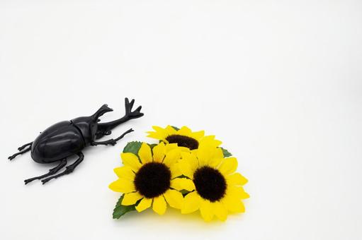 ひまわりとカブトムシ ひまわりとカブトムシの写真