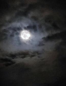 月に叢雲 月に叢雲の写真