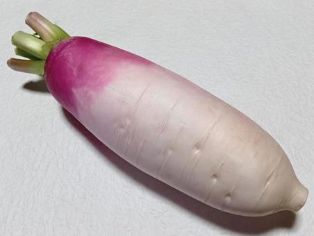ミニ大根　あやめっ娘 ミニ大根,あやめっ娘,紫大根の写真素材