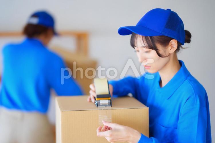 段ボールにテープを貼る女性の横顔 女性,人物,若者の写真素材