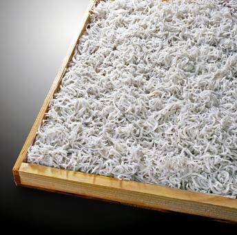 釜揚げしらす 釜揚げしらす しらす,釜揚げしらす,茹でしらすの写真素材