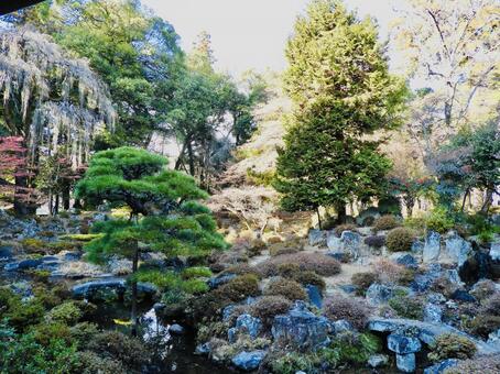 国指定名勝恵林寺庭園3 恵林寺庭園,恵林寺,庭園の写真素材