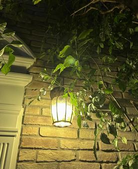 外灯…灯り 外灯…灯りの写真