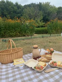 オシャレなピクニック 女子会 オシャレなピクニック 女子会 おしゃれピクニック,ピクニック,オシャレピクニックの写真素材