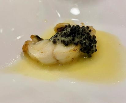 魚とキャビア 魚,キャビア,白身の写真素材