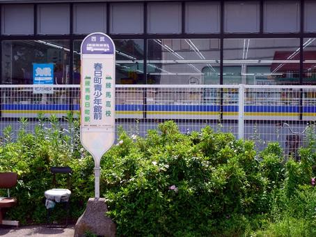 春日町青少年館前バス停留所 春日町青少年館前バス停留所の写真
