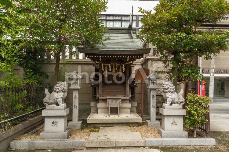 大阪　難波神社　金刀比羅神社 難波神社,難波,神社の写真素材