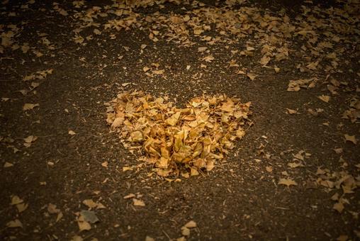 ＜素材＞イチョウの落ち菜で作ったハート ハート,イチョウ,紅葉の写真素材