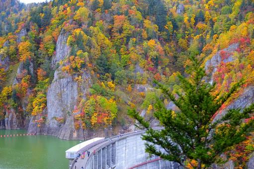豊平峡ダム 豊平峡ダム 定山渓,紅葉,秋の写真素材